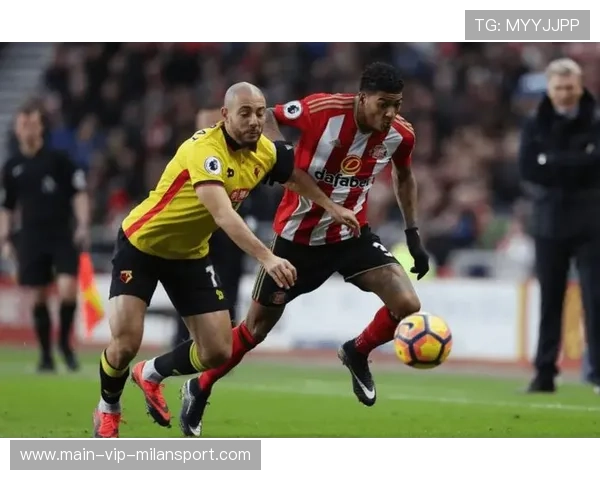 英超桑德兰VS埃弗顿：黑猫黑马是否能保持领先地位，桑德兰主帅